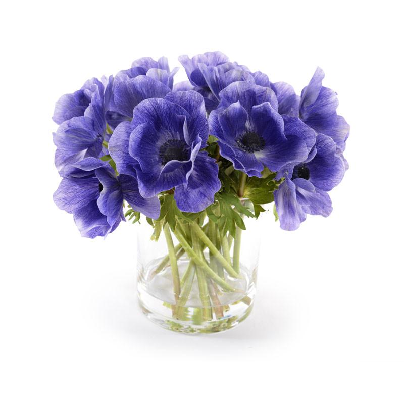 Anemone Arrangement - New Growth Designs