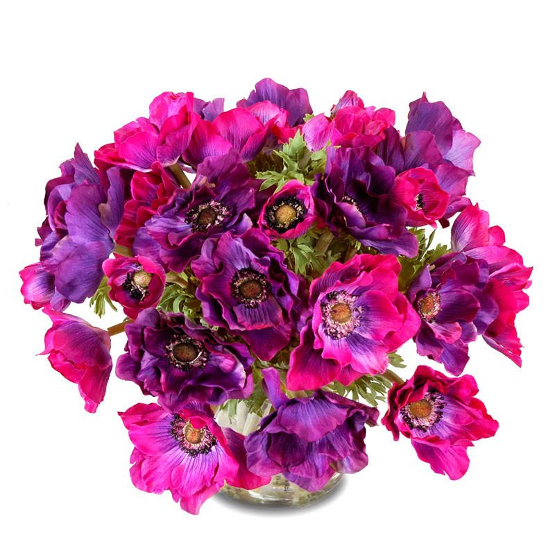 Anemone Arrangement - New Growth Designs