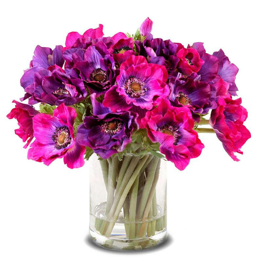 Anemone Arrangement - New Growth Designs