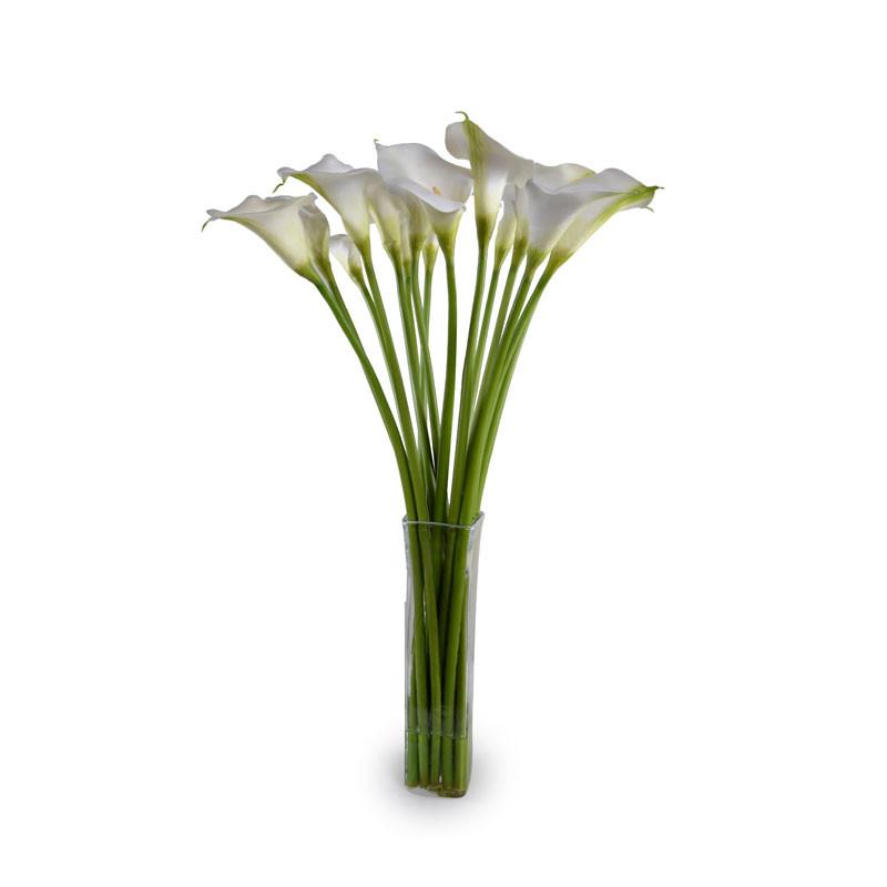 Aurum Lily Arrangement - New Growth Designs
