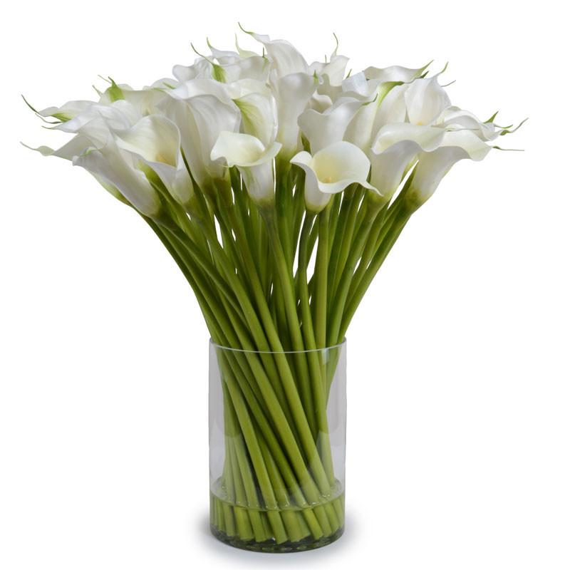 Calla Lily Arrangement - New Growth Designs