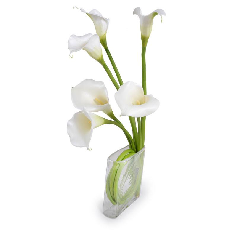 Calla Lily Arrangement - New Growth Designs