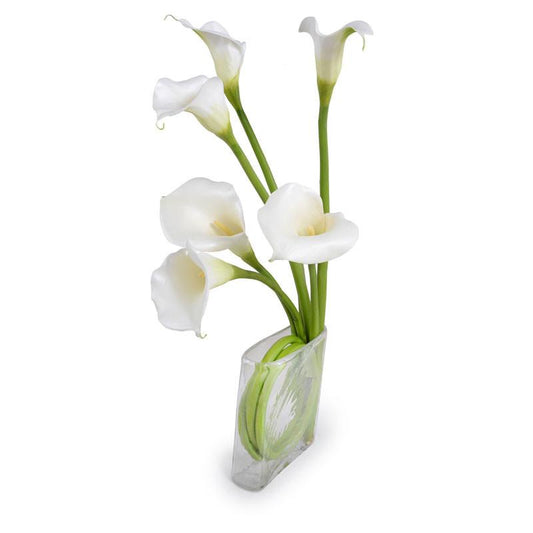 Calla Lily Arrangement - New Growth Designs