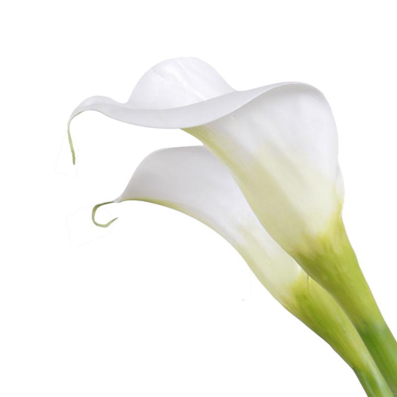 Calla Lily Arrangement - New Growth Designs