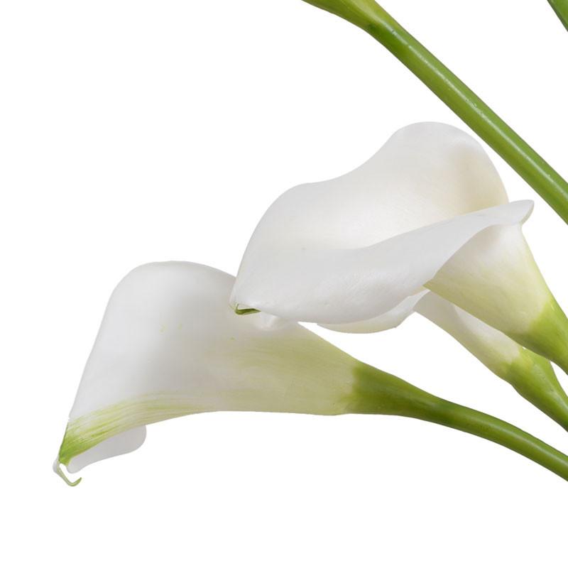 Calla Lily Arrangement - New Growth Designs