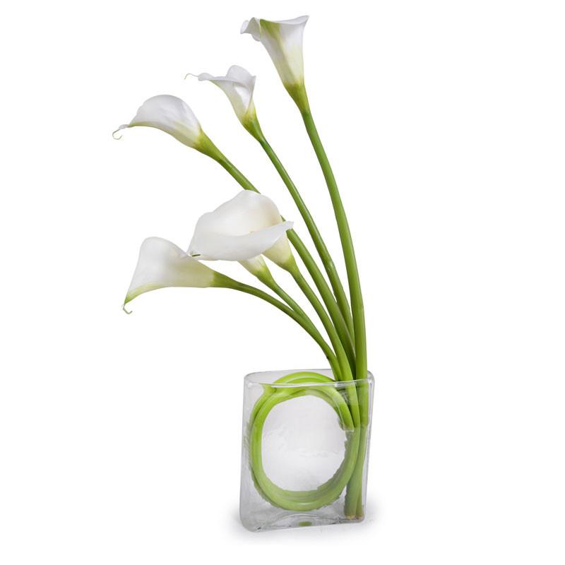 Calla Lily Arrangement - New Growth Designs