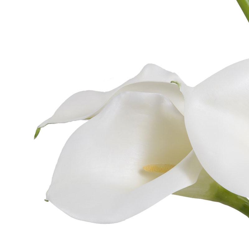 Calla Lily Arrangement - New Growth Designs