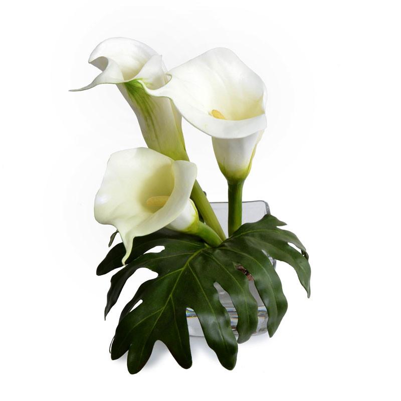 Calla Lily Arrangement - New Growth Designs