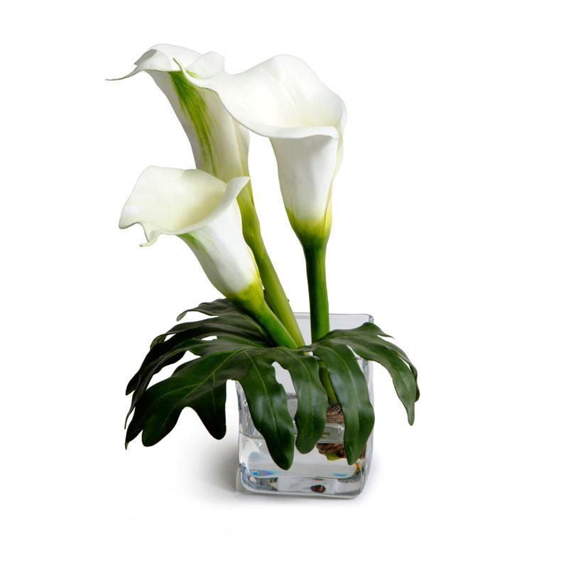 Calla Lily Arrangement - New Growth Designs
