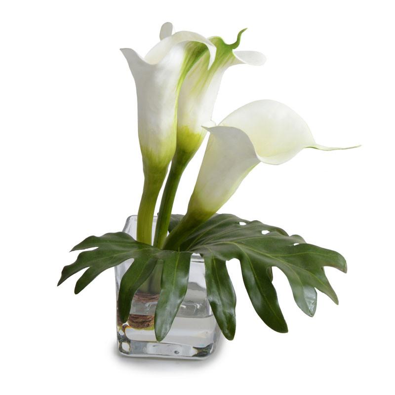 Calla Lily Arrangement - New Growth Designs
