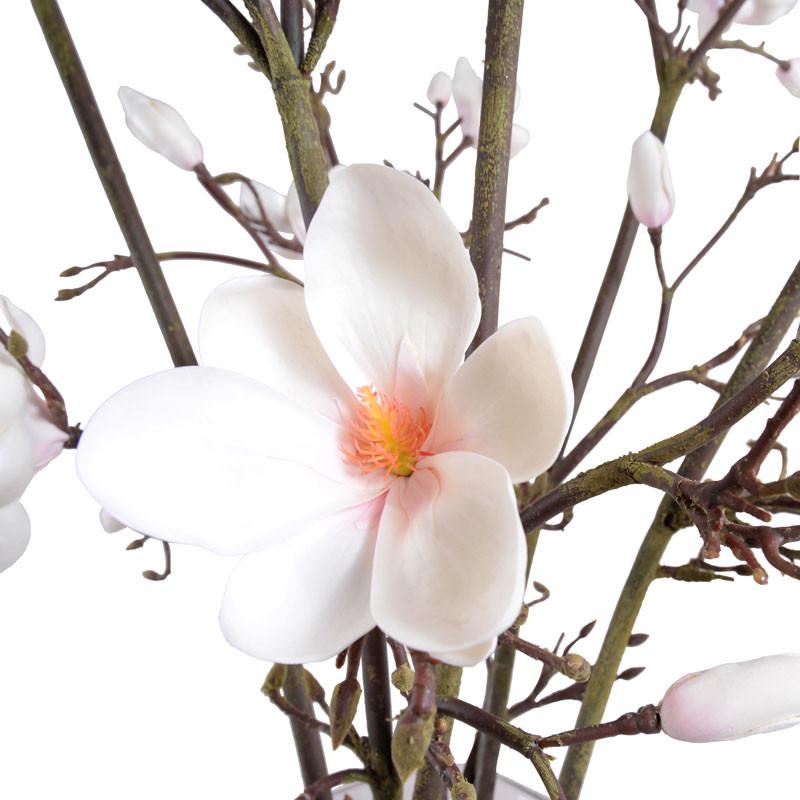 Magnolia Tree Arrangement