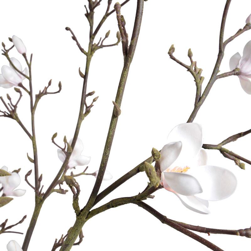 Magnolia Tree Arrangement