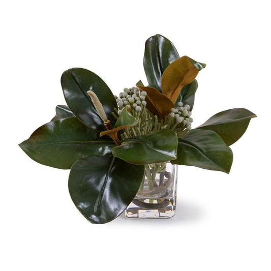 Magnolia, Silver Brunia