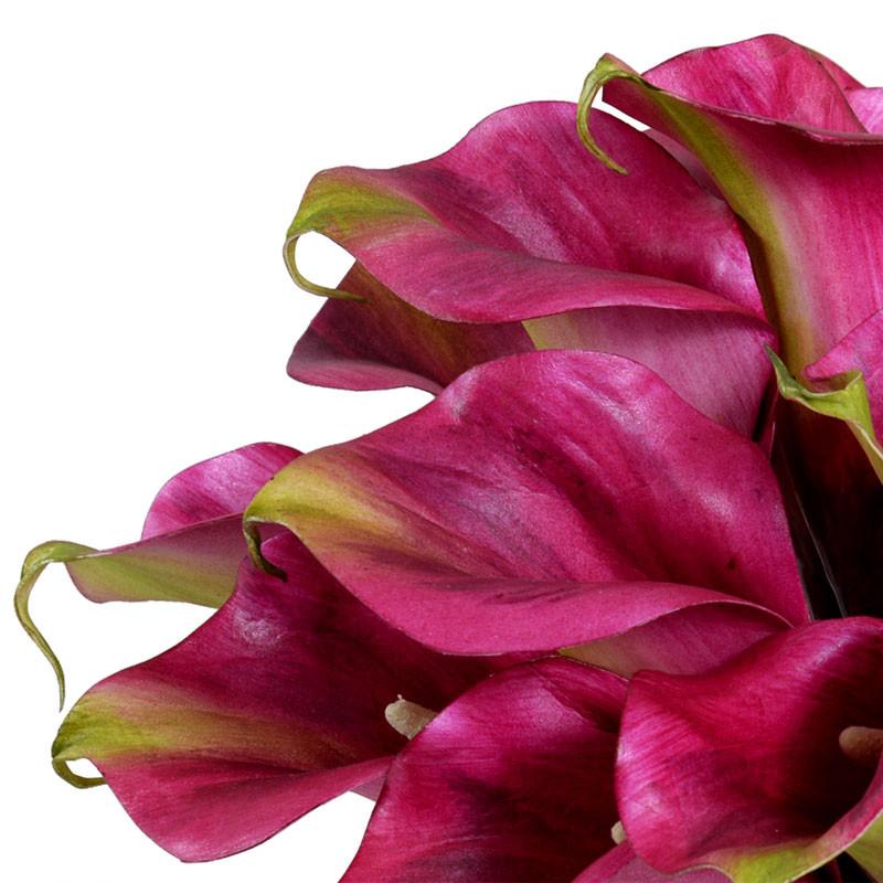 Calla Lily Arrangement - New Growth Designs