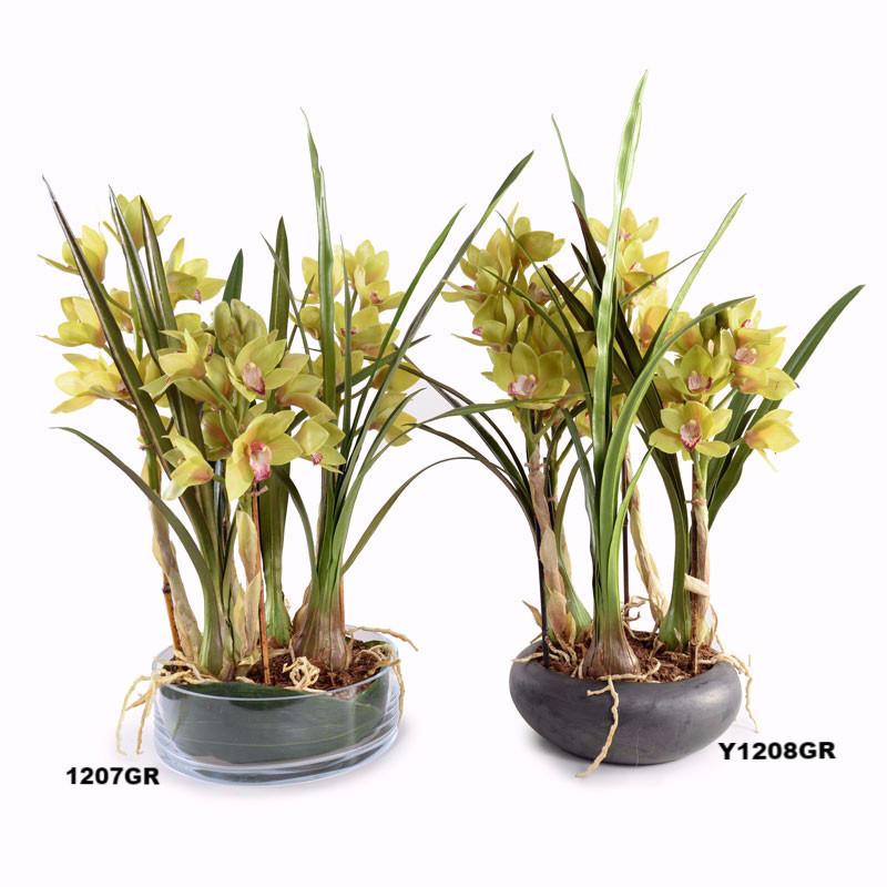 Cymbidium Orchid Leaf It - New Growth Designs