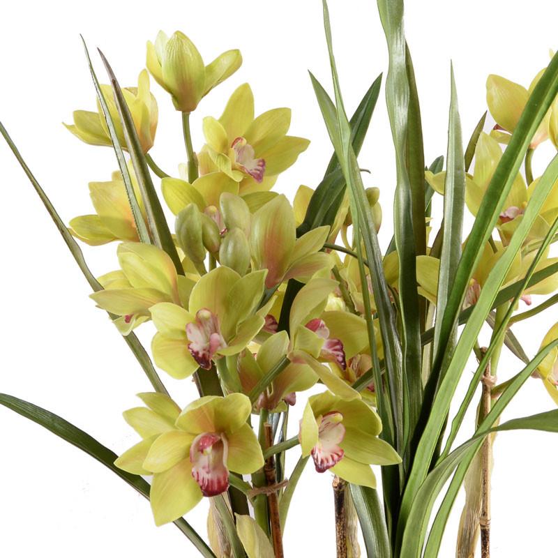 Cymbidium Orchid Leaf It - New Growth Designs