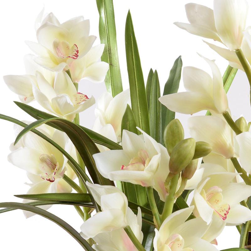 Cymbidium Orchid Leaf It - New Growth Designs