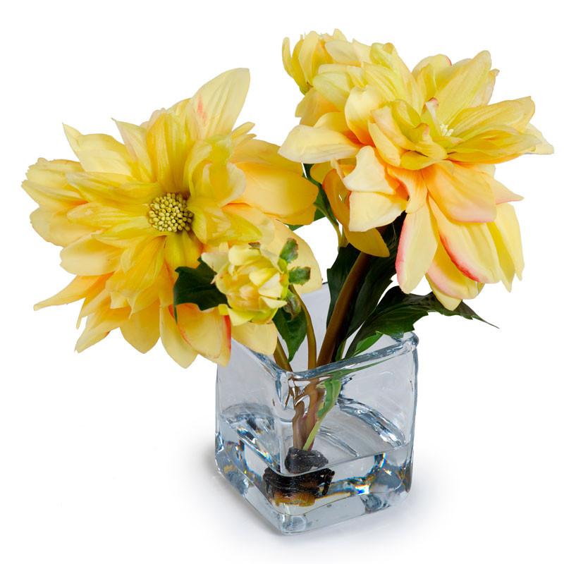 Dahlia Cutting in Glass - New Growth Designs