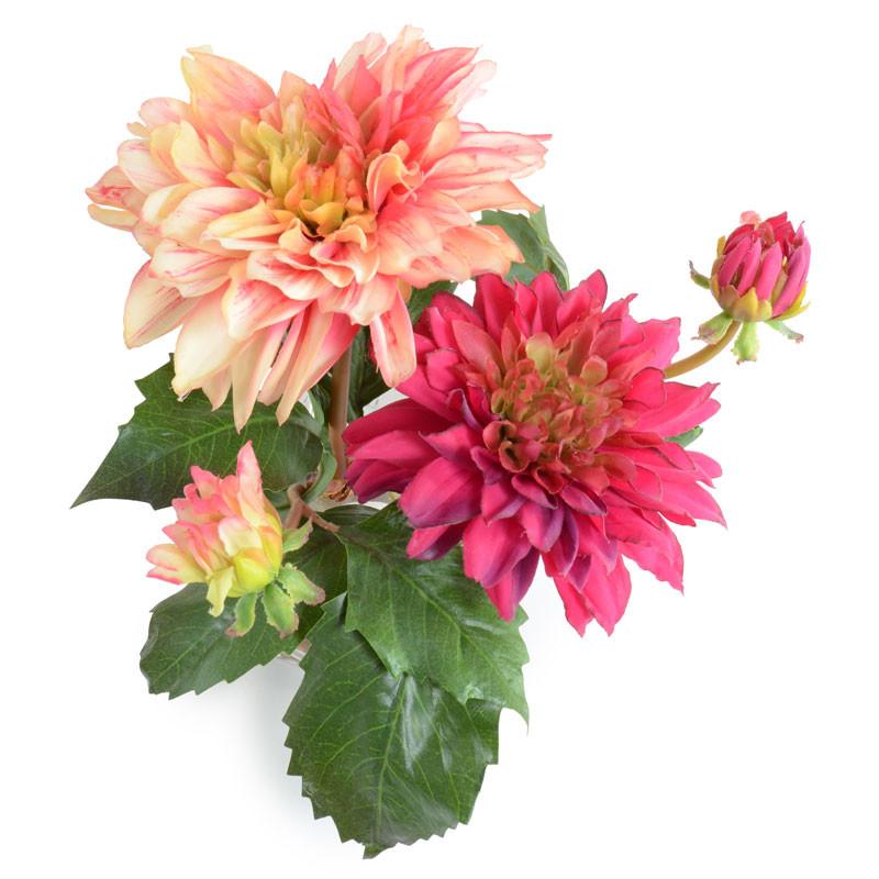 Dahlia Arrangement - New Growth Designs