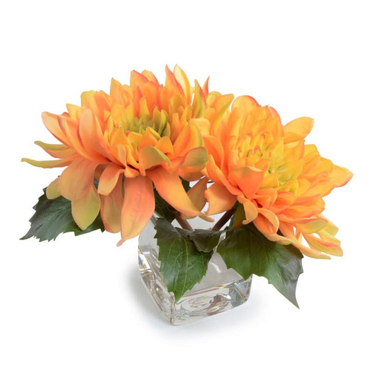 Dahlia Arrangement - New Growth Designs