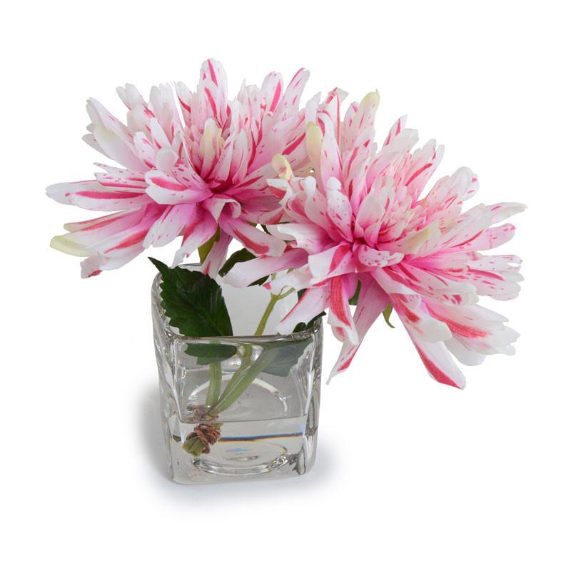 Dahlia Arrangement - New Growth Designs