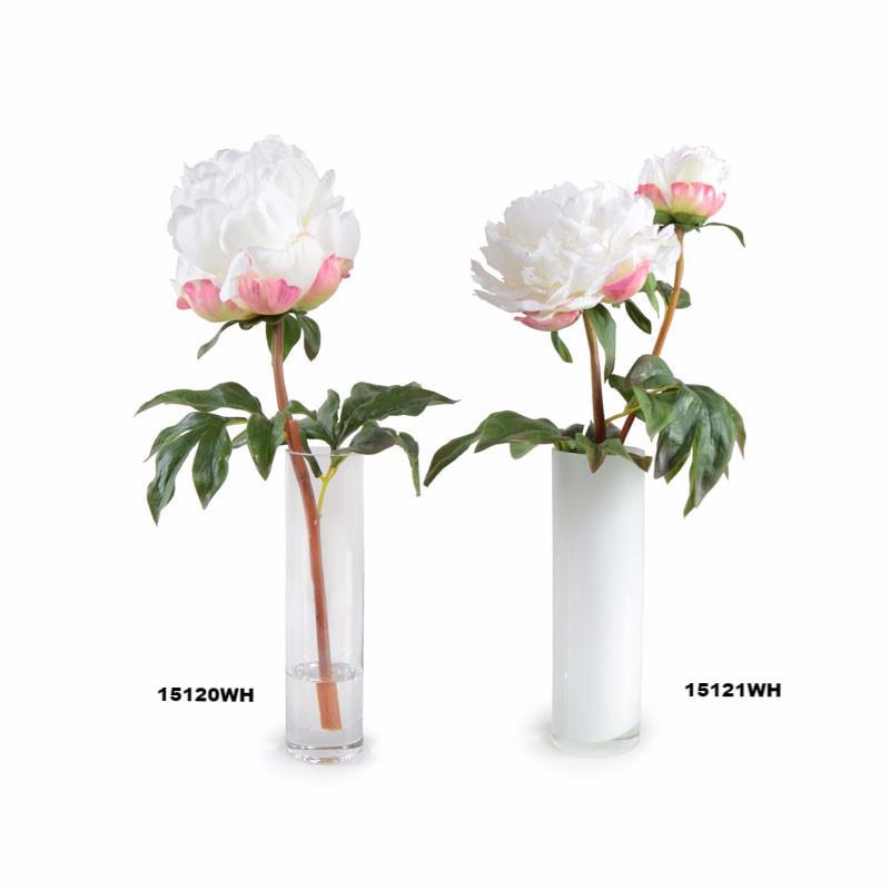 White Peony in Vase