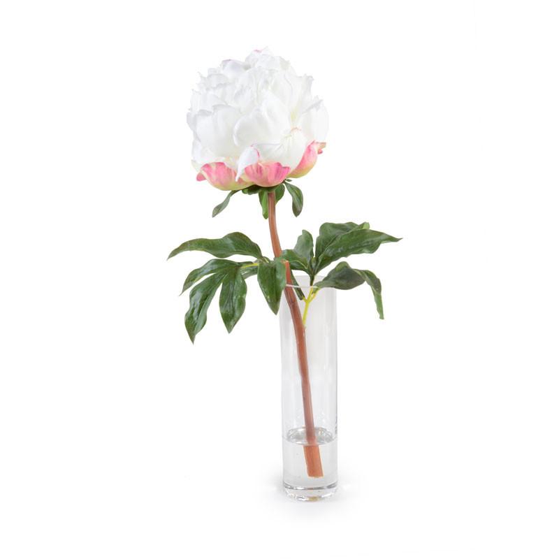 White Peony in Vase