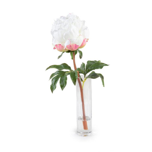 White Peony in Vase