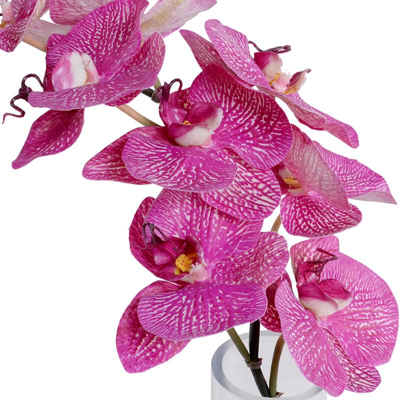 Phalaenopsis Orchid Vase (Duplicate)