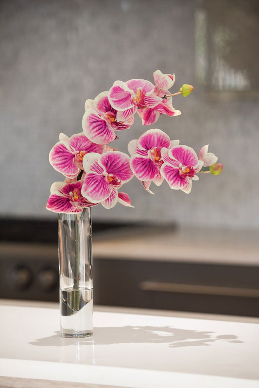 Phalaenopsis Orchid Vase