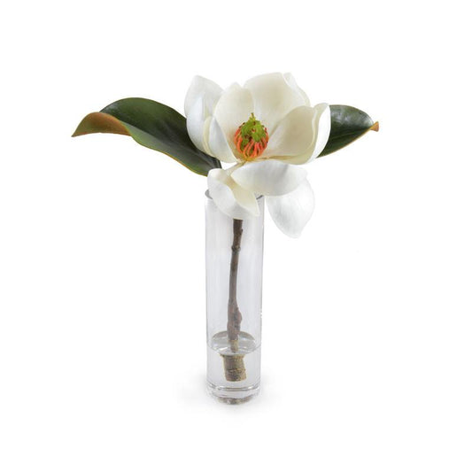 Magnolia Bloom in Vase