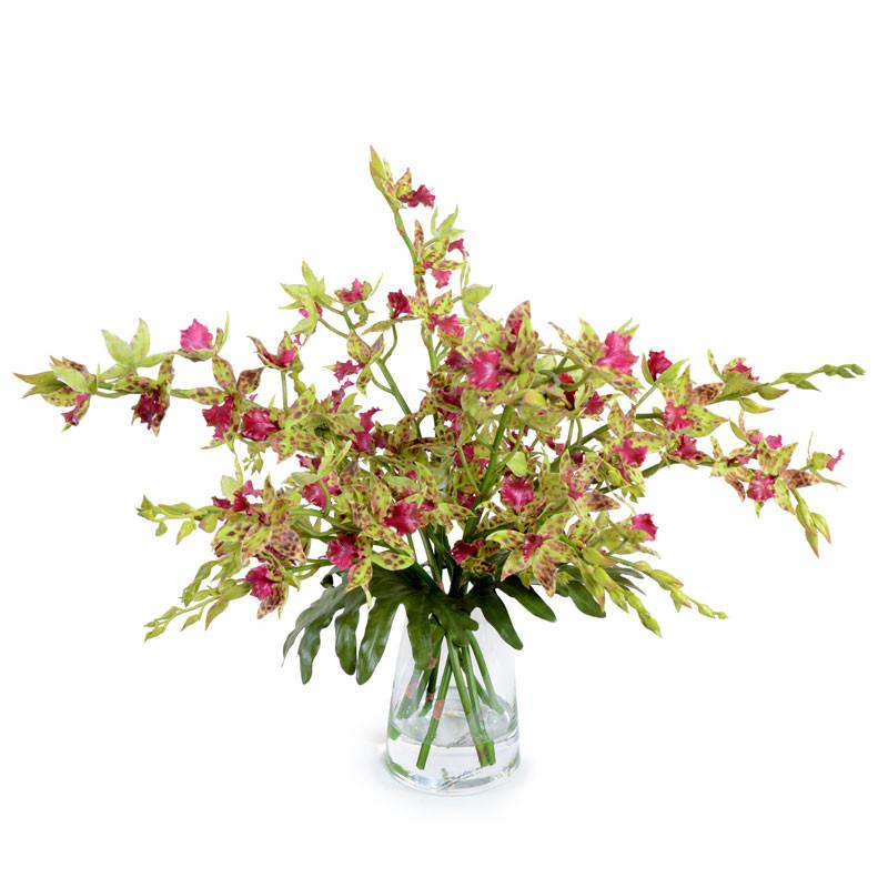 Cymbidium Orchid - New Growth Designs