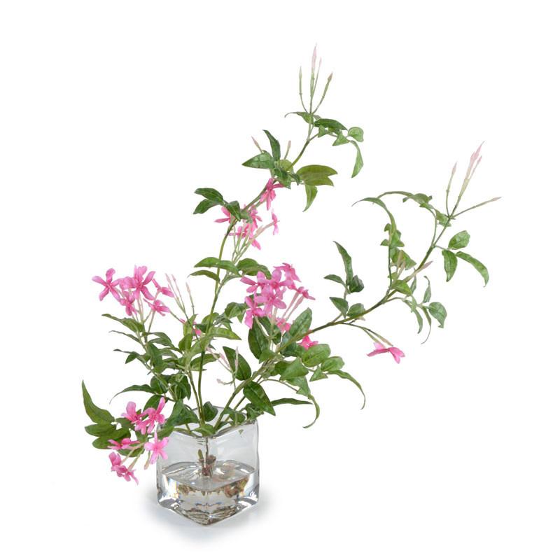 Blooming Jasmine Vine - New Growth Designs