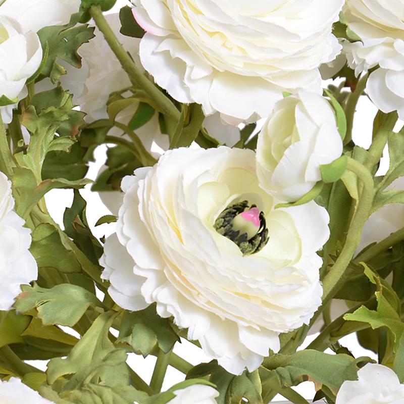 Ranunculus Bouquet in Glass Envelope