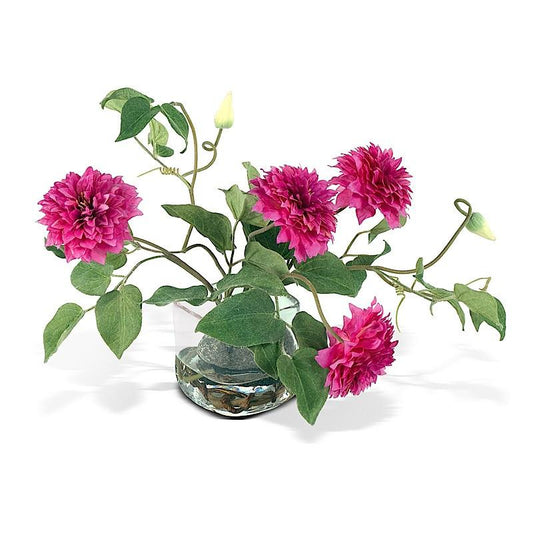 Clematis Vine Cutting - New Growth Designs