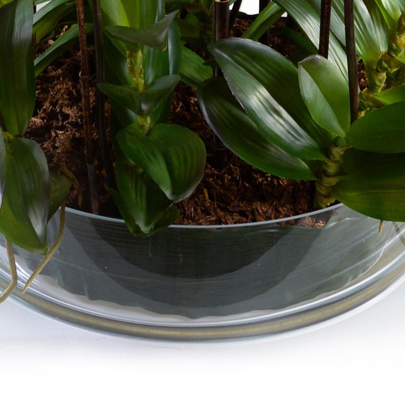 Aranda Orchid Leaf It - New Growth Designs