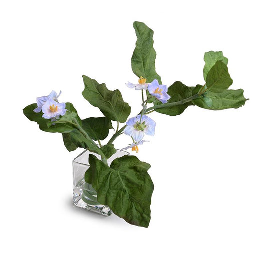 Blooming Vine, Violet - New Growth Designs