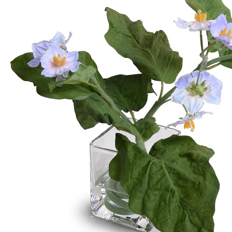 Blooming Vine, Violet - New Growth Designs