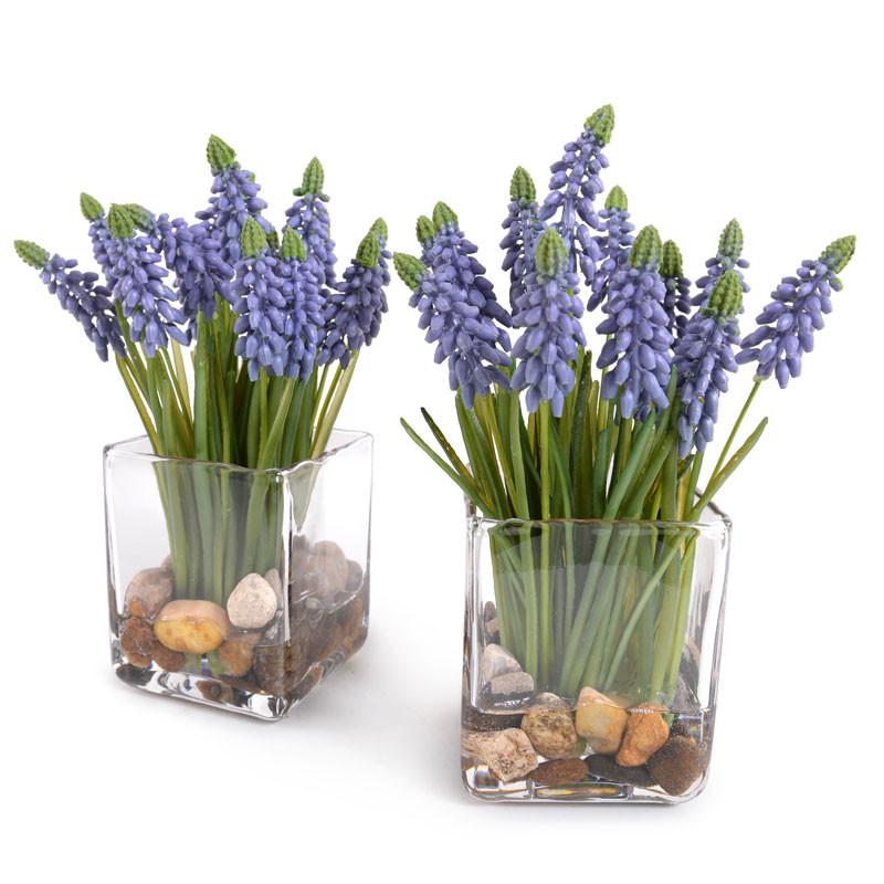 Grape Hyacinth - New Growth Designs