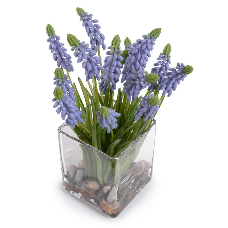 Grape Hyacinth - New Growth Designs
