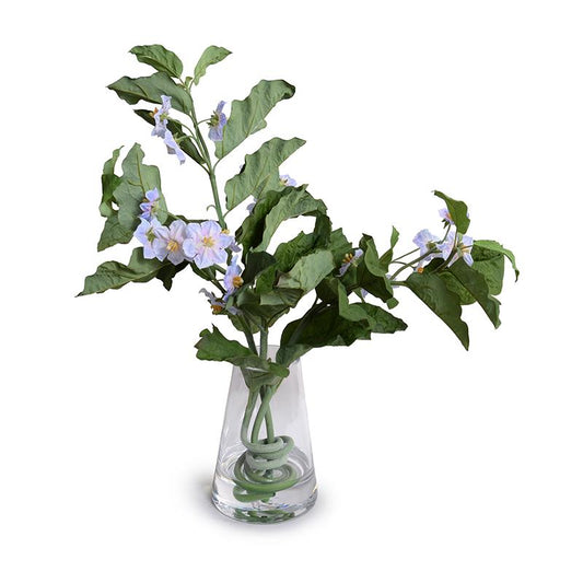 Blooming Vine, Violet - New Growth Designs