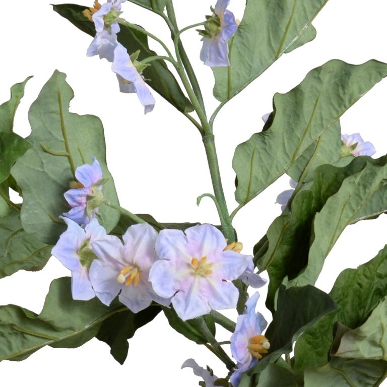 Blooming Vine, Violet - New Growth Designs