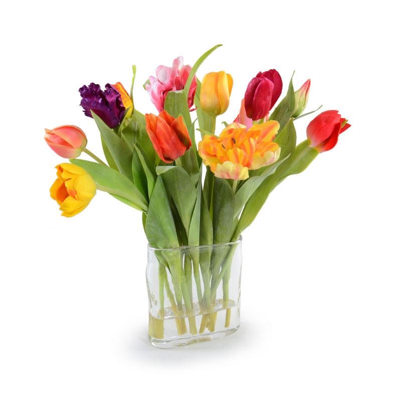 Assorted Tulip Arrangement - New Growth Designs