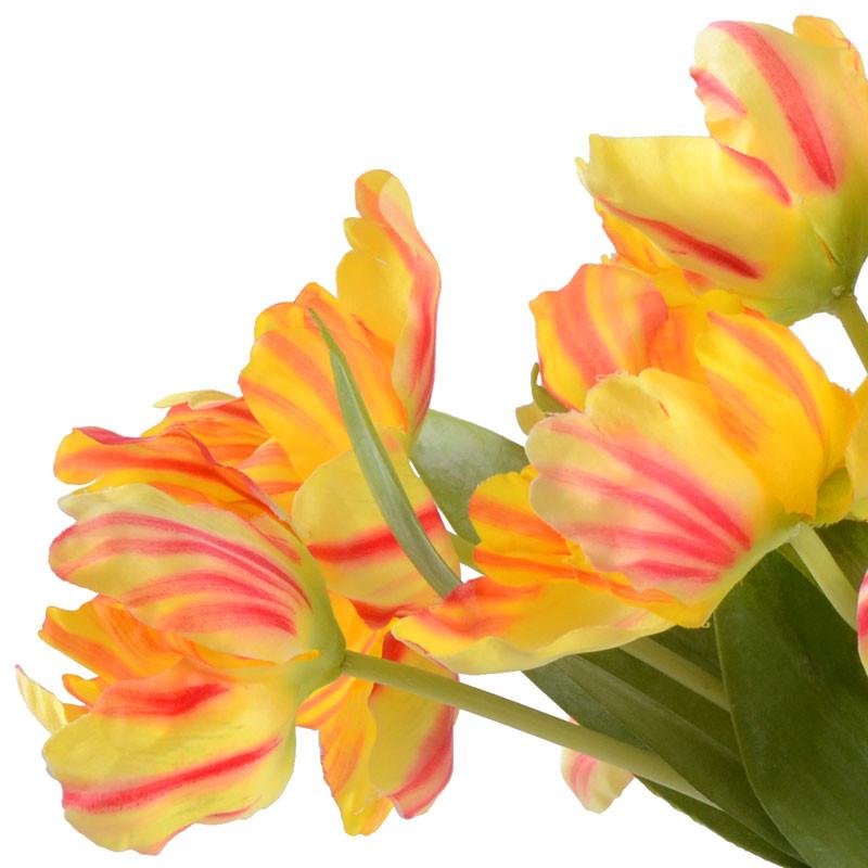 Tulip Arrangement