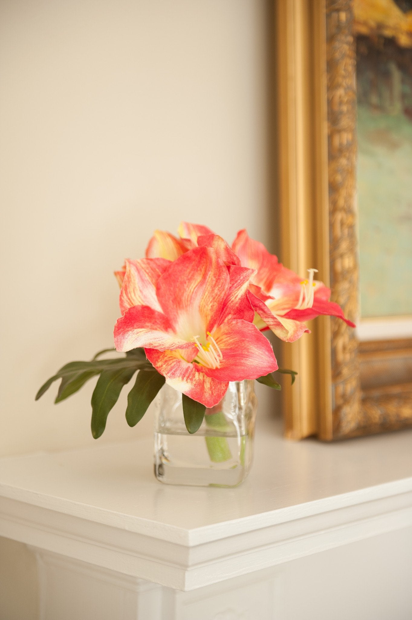 Amaryllis Cutting in Glass - New Growth Designs