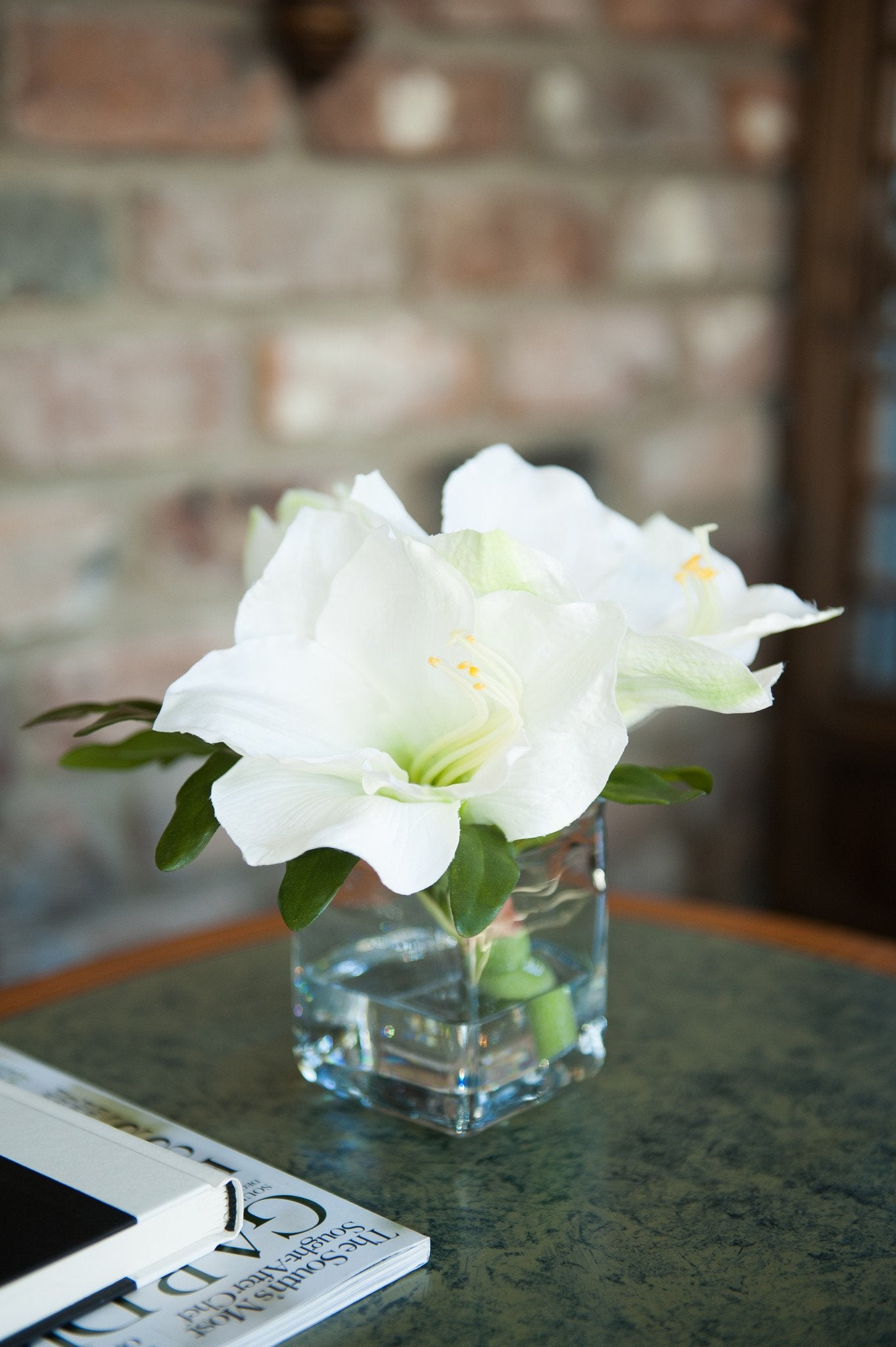 Amaryllis Cutting in Glass - New Growth Designs
