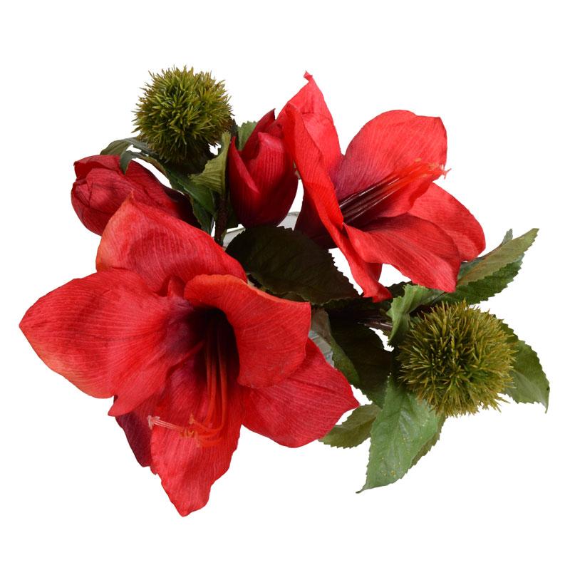 Amaryllis and Chestnut - New Growth Designs