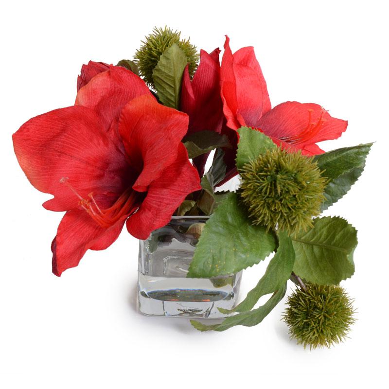 Amaryllis and Chestnut - New Growth Designs