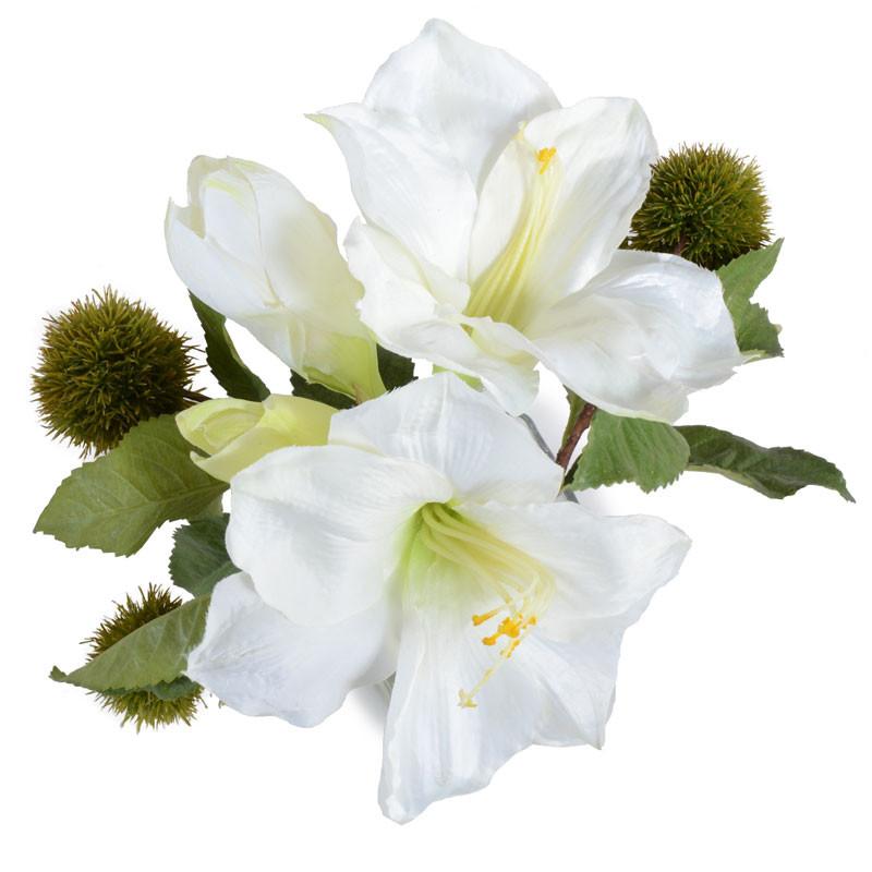 Amaryllis and Chestnut - New Growth Designs