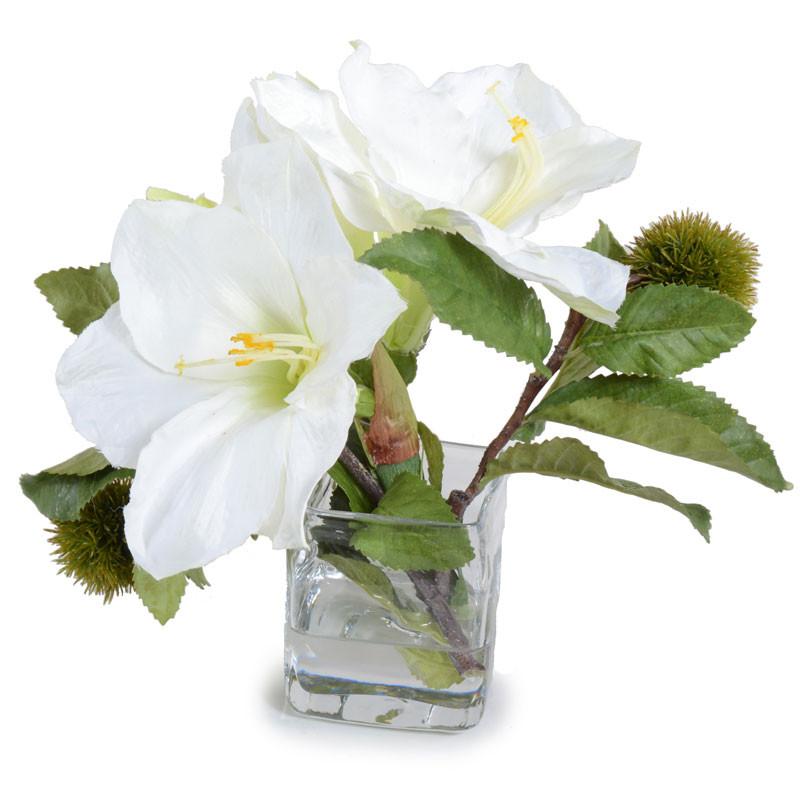 Amaryllis and Chestnut - New Growth Designs